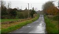 The Thornhill Road near Antrim (2)