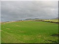 A recently planted field of cultivated grass near Cadlan