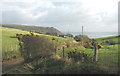 The lane leading to Cadlan Isaf