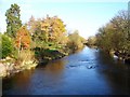 Downstream from Caerhowel bridge