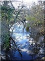 River Rhiw | Afon Rhiw from Rhiw Bridge