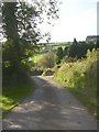 The lane through Capel Cynon, Llandissiliogogo