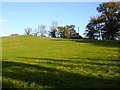 Green Lane Burial Field