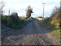 Farm bridge over the railway