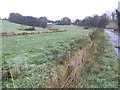 Wet pasture near Coollane