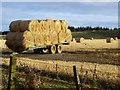 A full load, by Eathie Mains, Black Isle