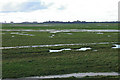 SD4526 : Longton marsh at low tide by Mr T