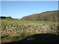 View north from near Easter Ord