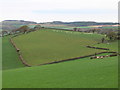 Rhos farmland