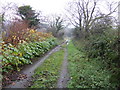 Bridleway beyond Garn Deifog