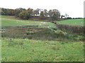 Hillside west of Betws-yn-Rhos