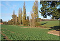 Fields and trees near Battisford