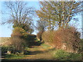 Looking up start of track to Hall near Battisford