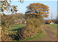 House and track near Newton Barn