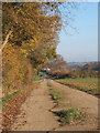 Track past Little Newton Wood, heading for Needham Market