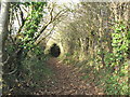 Village footpath at Botwnnog