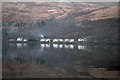 Tighness, Loch Long