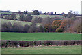 Farmland near The Down, Shropshire