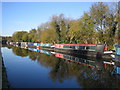 Grand Union Canal in Bourne End