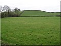 Mullnaveagh Townland