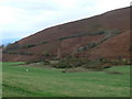 Enclosure on Moel Dywyll