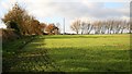 Public footpath