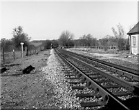 TL5503 : West of Ongar station, Essex by Dr Neil Clifton