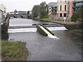 Fish Pass on the Western Cleddau, Haverfordwest