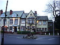 Replacement  tree, Hastings Place, Lytham