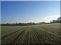 Farmland, Harpsden