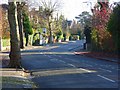 Albert Road, Caversham Heights