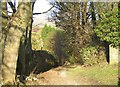 Bridleway (Back Lane), Airton