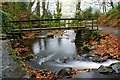 Footbridge, Glenoe glen (3)