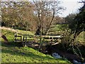 SO9094 : Footbridge over Penn Brook, Staffordshire by Roger  Kidd