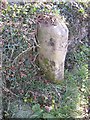 Boundary Stone, Scosthrop / Airton