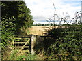 Arable land and plantation near East Matfen