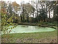 Bournemouth: Horseshoe Common pond