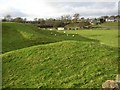 A bumpy field, near Bridge End, Long Preston