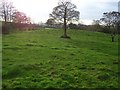 Farnaloy Townland