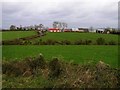 Kilcreevy Townland