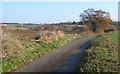 Cosford Road, a quiet country lane towards Aldham