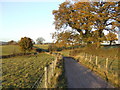 SO4428 : Farm road south of Pentwyn Common by Jonathan Billinger