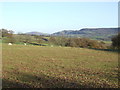 SO3621 : Countryside north of Llangattock Lingoed by Jonathan Billinger