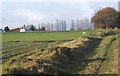 Footpath, landing strip and poplars