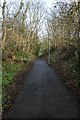 Railway Cutting in Campbeltown (2)