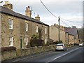 NY8355 : Houses on the B6303 Hexham Road by Mike Quinn