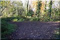 Junction of footpaths in Walks Brake wood