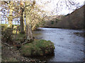 NH1884 : River Broom by sylvia duckworth