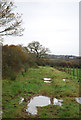 Footpath from Manston Copse