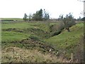 The cleugh of Steel Burn